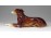 Régi porcelán agár kutya szobor 15 cm