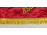 Szegedi Kendefonógyár szocialista selyem zászló 1970 71 x 52 cm