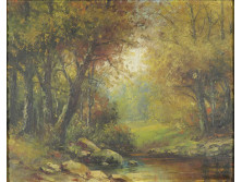 Erdei patak