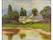 Dandó jelzéssel : Libapásztor libausztatás