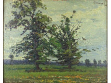 Bosznay István (1868 - 1944) : Nagy fa 1908
