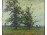 Bosznay István (1868 - 1944) : Nagy fa 1908