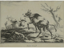 Tehenek