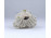 Antik tüll szoknyás Volkstedter porcelán balerina 10 cm