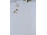 Antik kézzel festett szecessziós Wilhelmsburg falitányér 23.5 cm