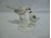 Régi jelzett német porcelán madár pár